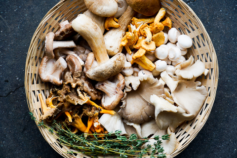 Paddenstoelenmelange