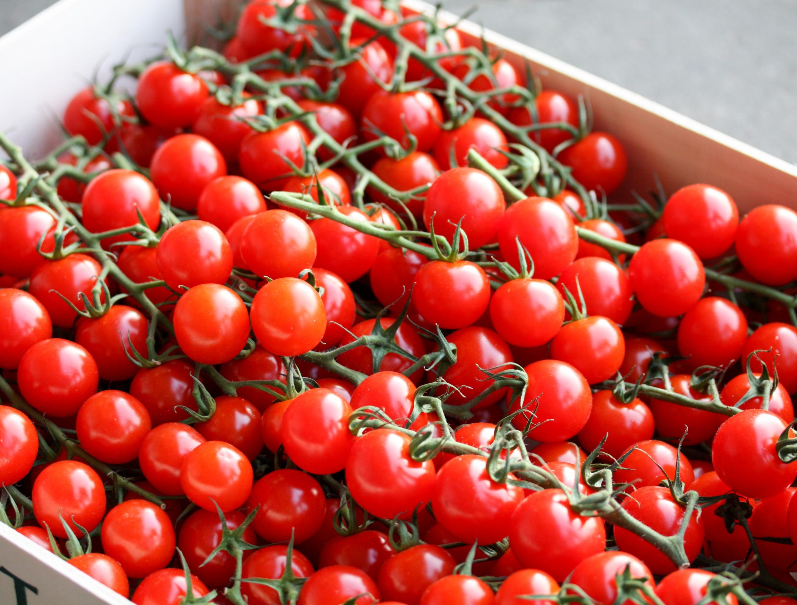 Siciliaanse cherrytomaten